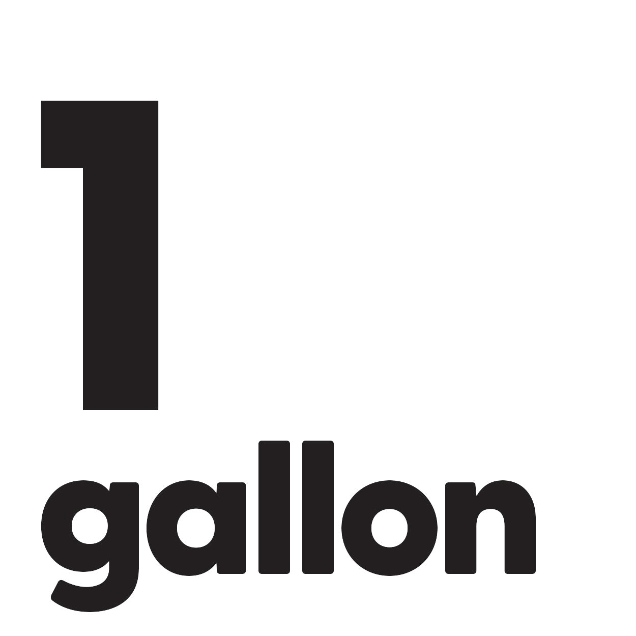 1 gallon